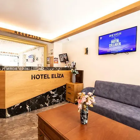 伊丽莎酒店